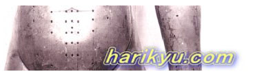 harikyu.com